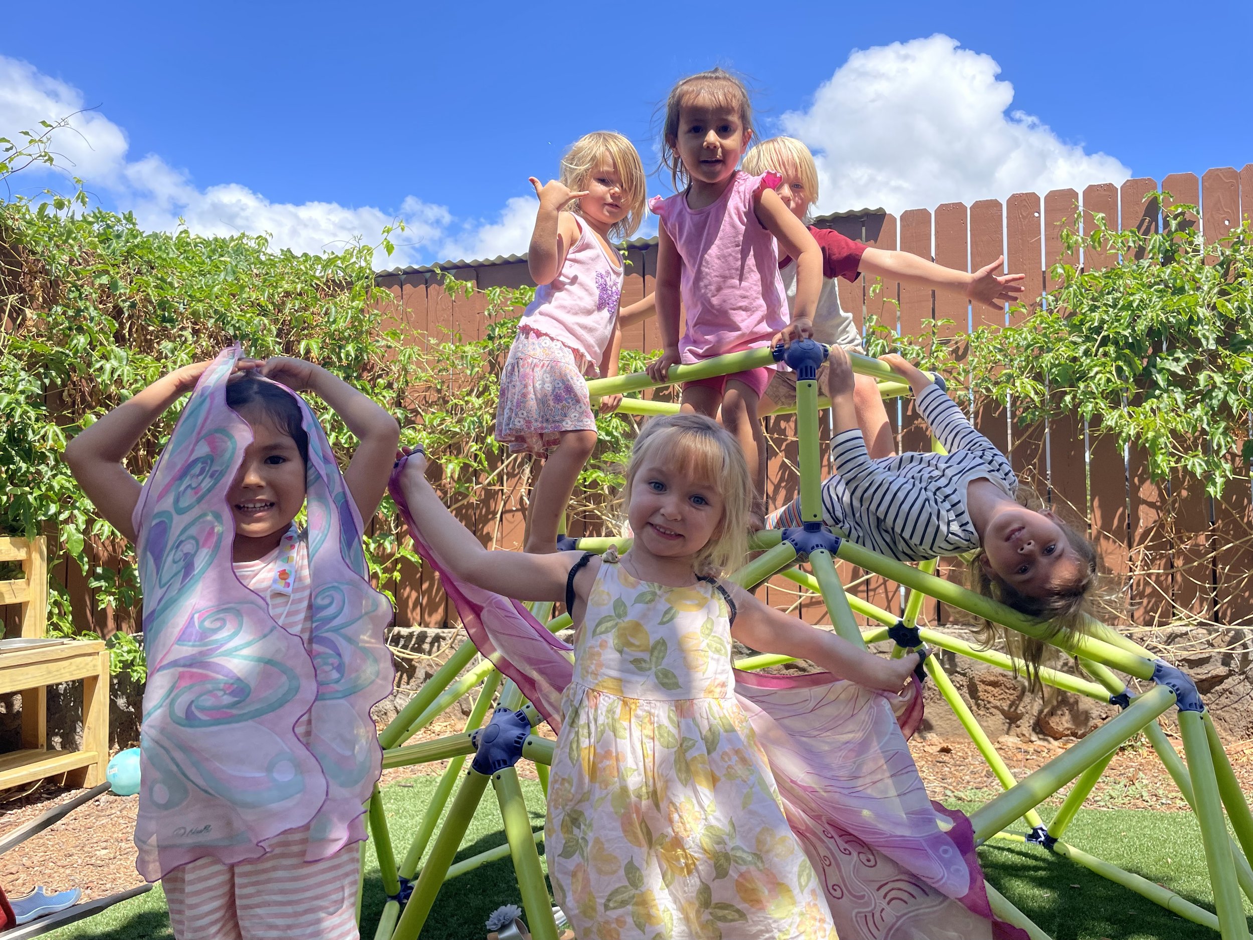 New Location — Little Gardeners